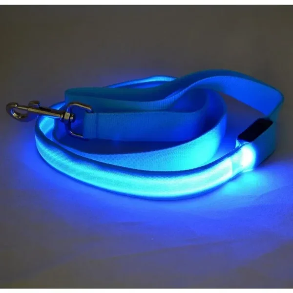 Flashing Electronic Leash