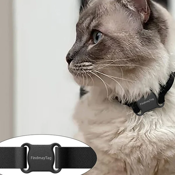 GPS Pet Tracker