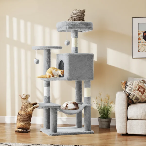 Cat Climbing Tower