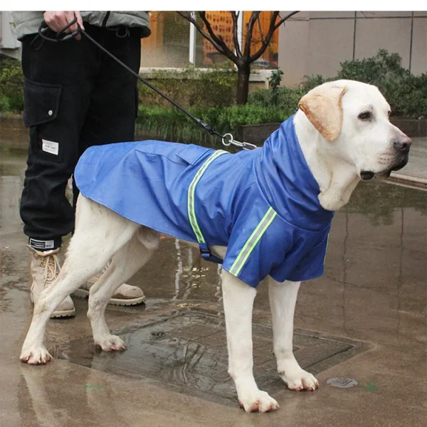 Large Dog Raincoat