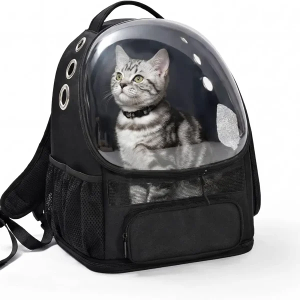 Collapsible Pet Backpack